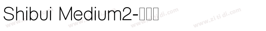 Shibui Medium2字体转换